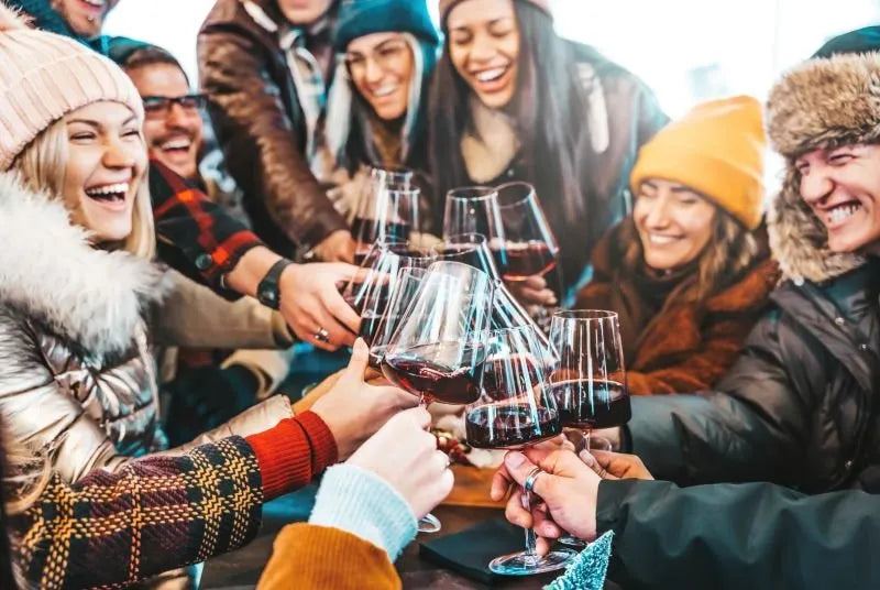 Tá frio? 6 vinhos tintos para o inverno ficar mais quentinho