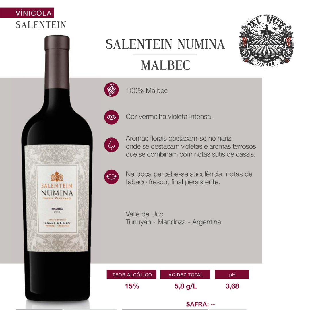 SALENTEIN NUMINA MALBEC