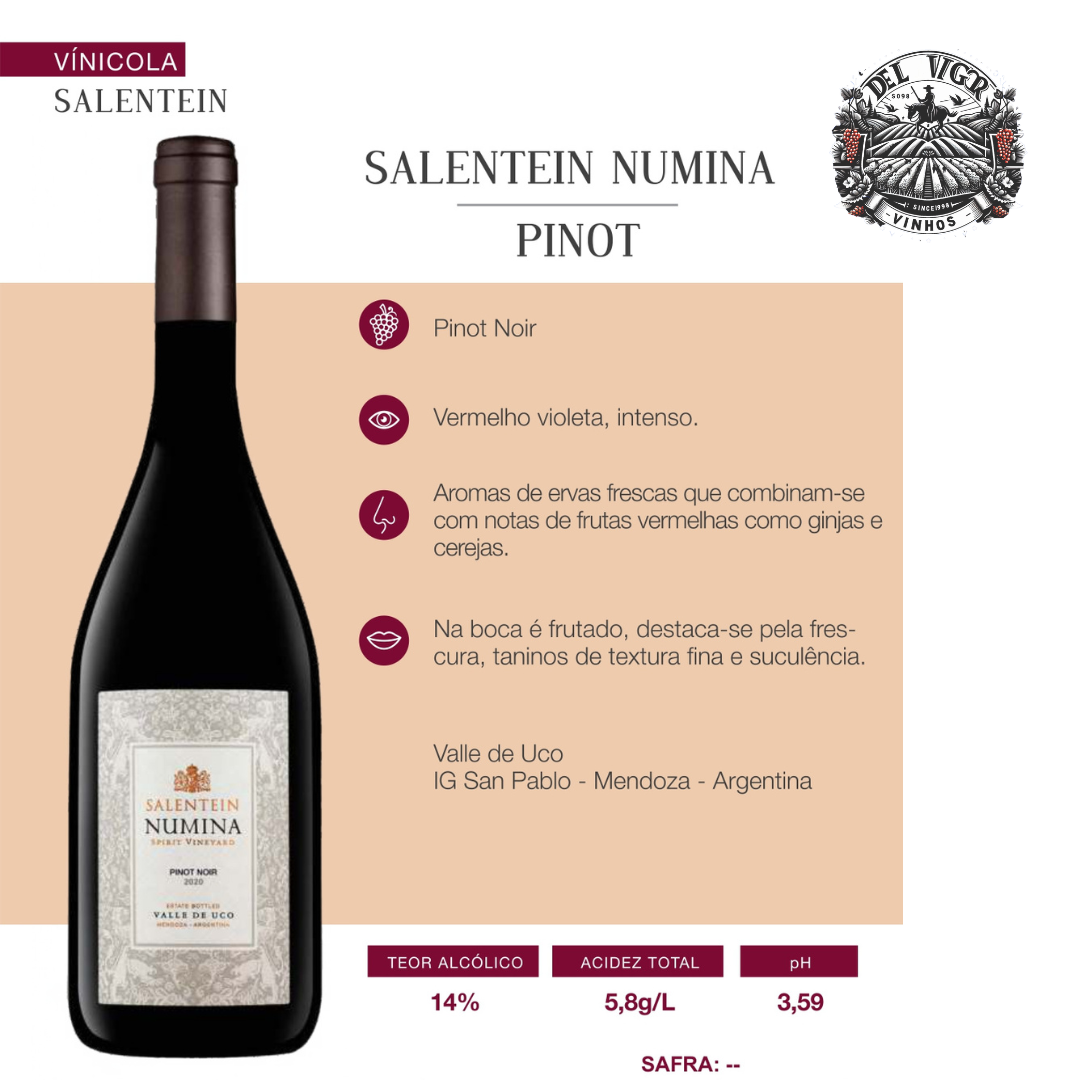 SALENTEIN NUMINA PINOT